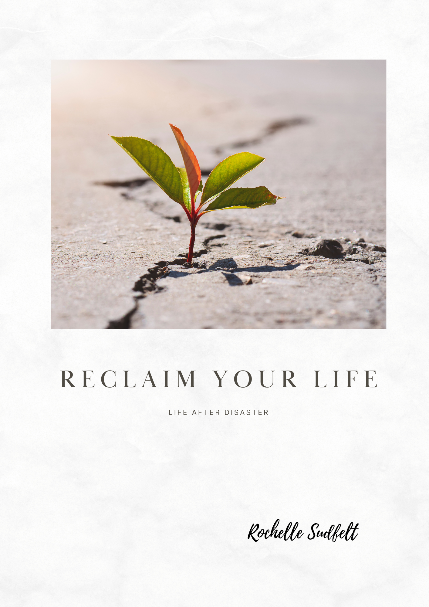 Reclaim Your Life. Life after disaster